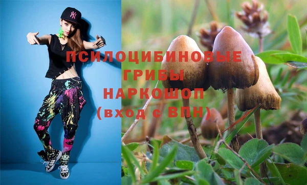 экстази Михайлов