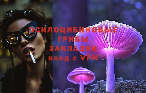 винт Елабуга