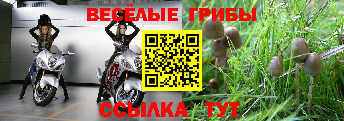 Псилоцибиновые грибы GOLDEN TEACHER  Вход с VPN  даркнет сайт  Крымск 